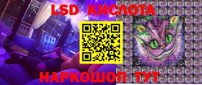 дживик Можга