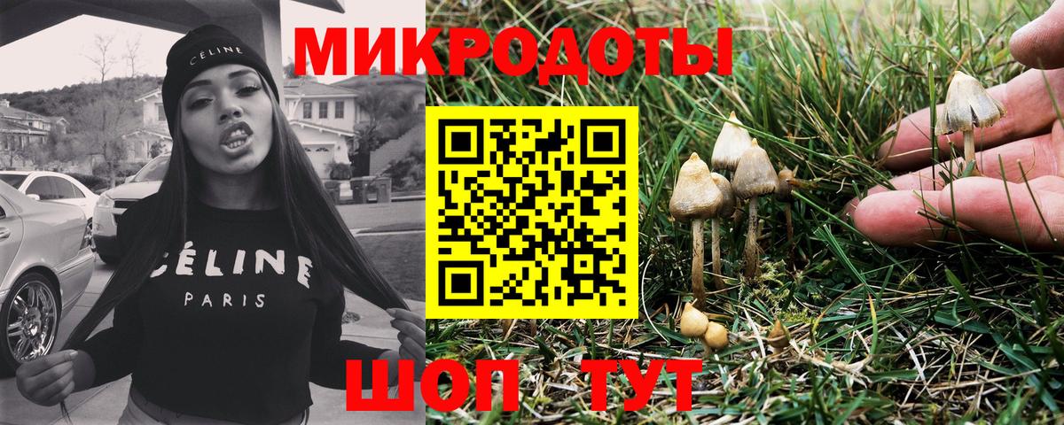 Галлюциногенные грибы прущие грибы Спасск-Дальний