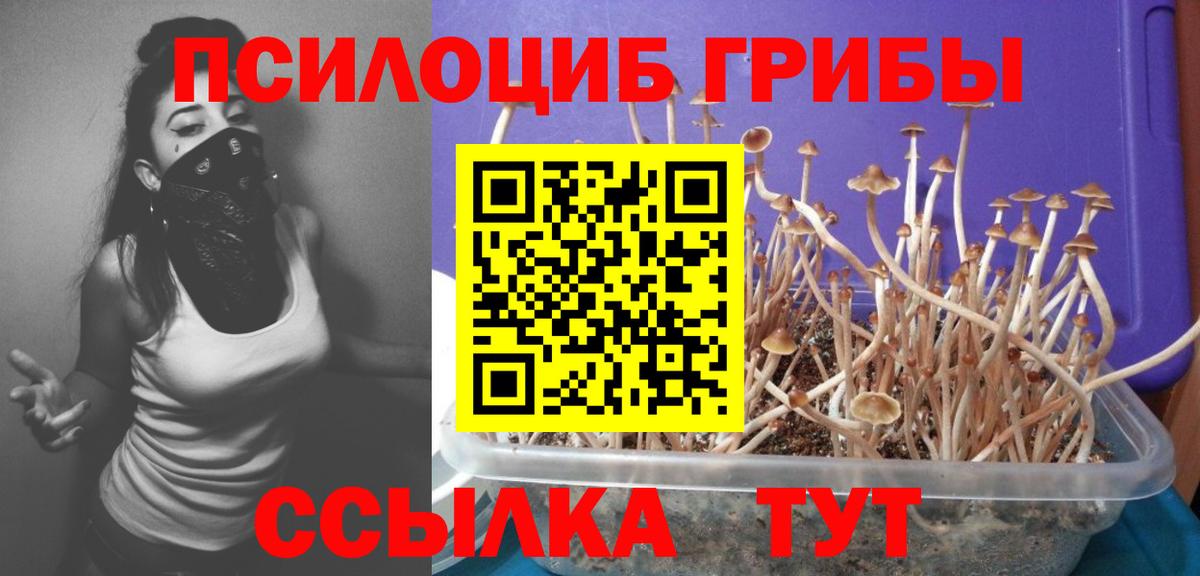даркнет сайт  Псилоцибиновые грибы Psilocybe  Спасск-Дальний  Вход с VPN  Галлюциногенные грибы Psilocybe 